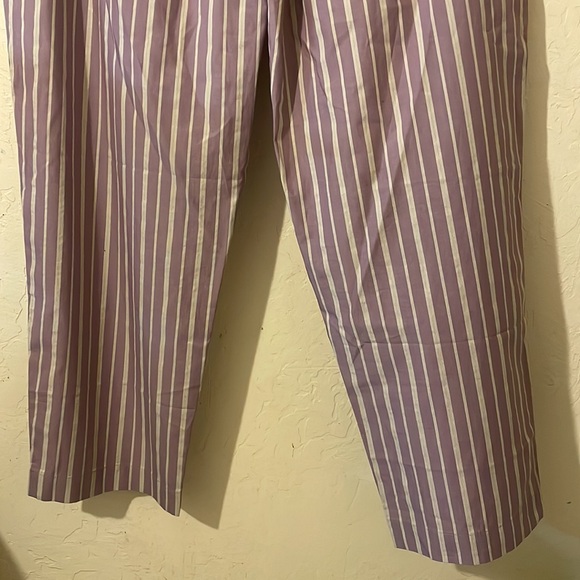 Madewell stripped pants - Picture 11 of 12